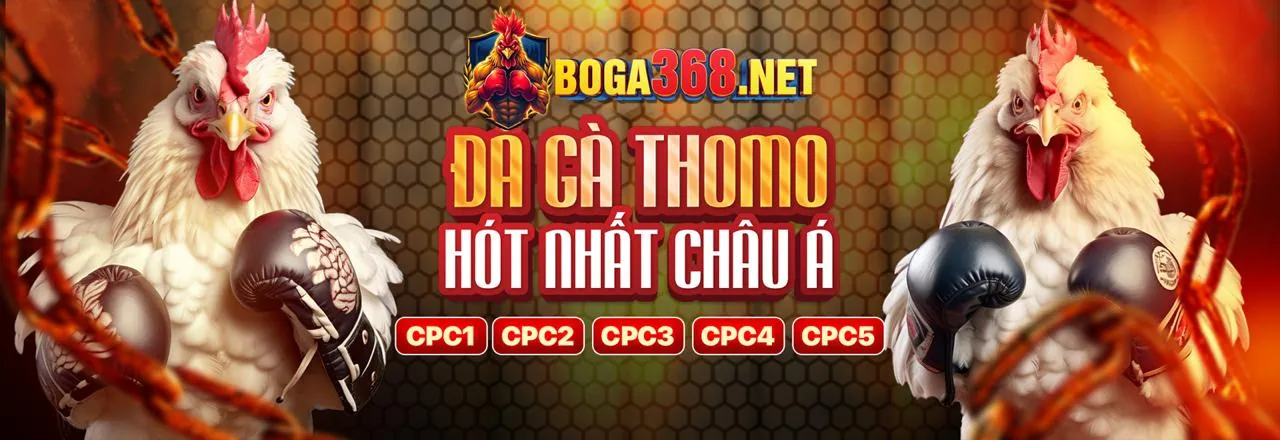 Đá gà f8bet trực tuyến, những trận đấu gà đỉnh cao tại f8bet